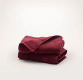 Plush Hand Towels (Pair) - Holly