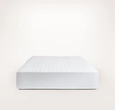 Mattress Protector
