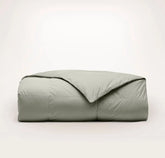 Percale Quilted Down Comforter - Sageleaf