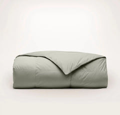 Percale Quilted Down Comforter - Sageleaf