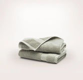 Plush Hand Towels (Pair) - Sageleaf