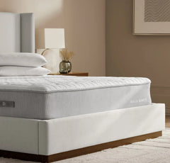 The Mattress