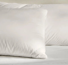 Feather Down Decorative Pillow Insert (22x22)